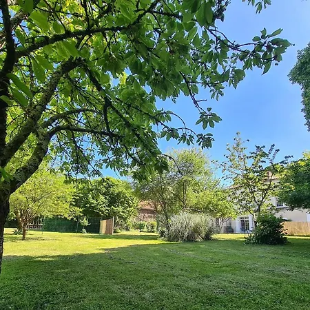 Spacieuse Avec Jardin Prive, Animaux Acceptes - Fr-1-653-276 Nyaraló